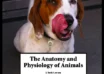 Anatomy and Physiology of Animals